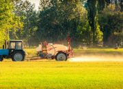 Интервью с экспертом: Ноксид азота – применение и перспективы