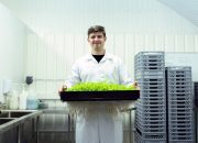 Производство закиси азота: технологии и применение