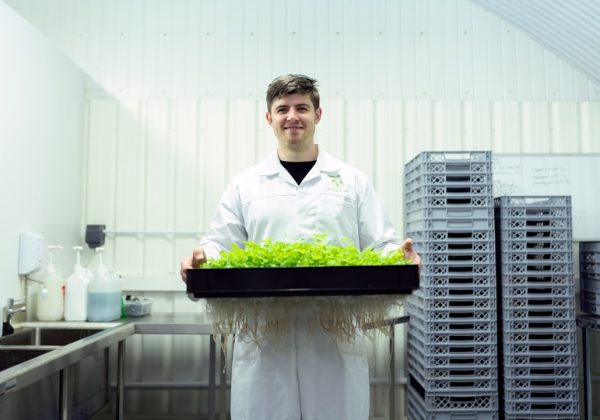 Производство закиси азота: технологии и применение