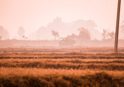 Влияние закиси азота на экосистему: угроза для окружающей среды