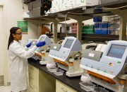 Интервью с экспертом: Влияние закиси азота на здоровье и окружающую среду